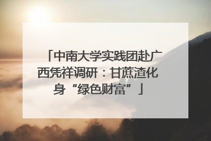 中南大学实践团赴广西凭祥调研：甘蔗渣化身“绿色财富”
