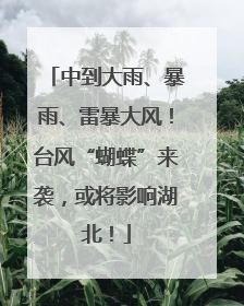 中到大雨、暴雨、雷暴大风！台风“蝴蝶”来袭，或将影响湖北！