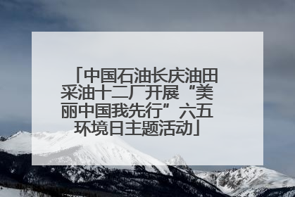 中国石油长庆油田采油十二厂开展“美丽中国我先行”六五环境日主题活动