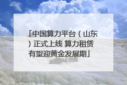 中国算力平台（山东）正式上线 算力租赁有望迎黄金发展期