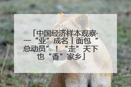 中国经济样本观察·一“业”成名丨面包“总动员”！“走”天下也“香”家乡