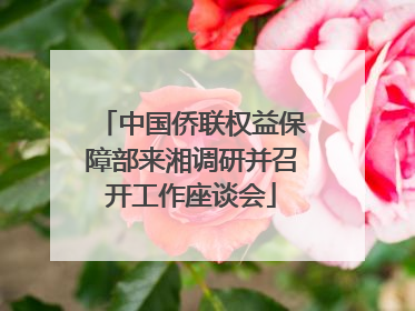 中国侨联权益保障部来湘调研并召开工作座谈会