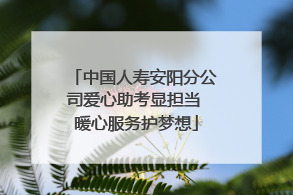 中国人寿安阳分公司爱心助考显担当 暖心服务护梦想