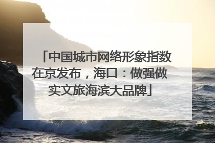 中国城市网络形象指数在京发布，海口：做强做实文旅海滨大品牌