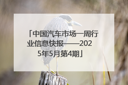 中国汽车市场一周行业信息快报——2025年5月第4期