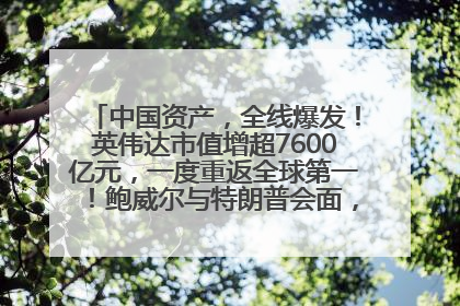 中国资产，全线爆发！英伟达市值增超7600亿元，一度重返全球第一！鲍威尔与特朗普会面，他们聊了什么？