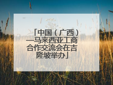 中国（广西）—马来西亚工商合作交流会在吉隆坡举办