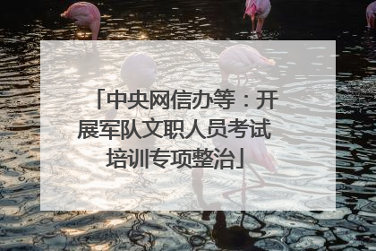 中央网信办等：开展军队文职人员考试培训专项整治
