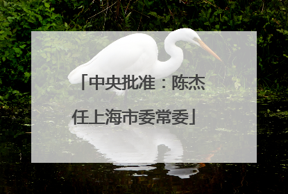 中央批准：陈杰任上海市委常委