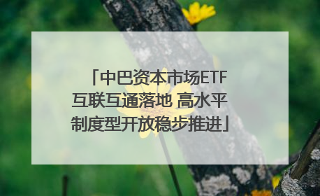 中巴资本市场ETF互联互通落地 高水平制度型开放稳步推进