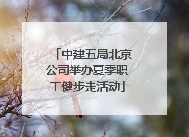 中建五局北京公司举办夏季职工健步走活动