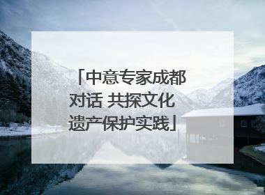 中意专家成都对话 共探文化遗产保护实践