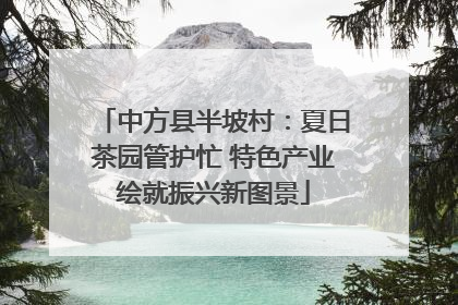 中方县半坡村：夏日茶园管护忙 特色产业绘就振兴新图景