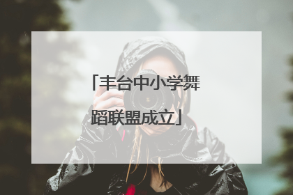 丰台中小学舞蹈联盟成立
