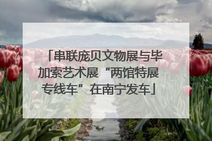 串联庞贝文物展与毕加索艺术展“两馆特展专线车”在南宁发车