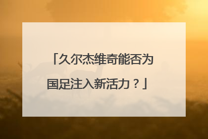久尔杰维奇能否为国足注入新活力？