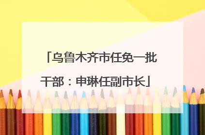乌鲁木齐市任免一批干部：申琳任副市长
