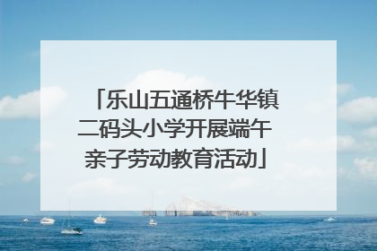 乐山五通桥牛华镇二码头小学开展端午亲子劳动教育活动