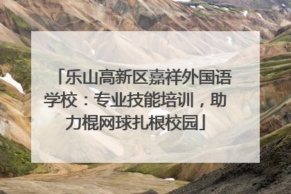 乐山高新区嘉祥外国语学校：专业技能培训，助力棍网球扎根校园