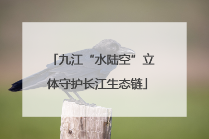 九江“水陆空”立体守护长江生态链