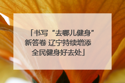 书写“去哪儿健身”新答卷 辽宁持续增添全民健身好去处