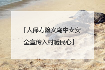 人保寿险义乌中支安全宣传入村暖民心