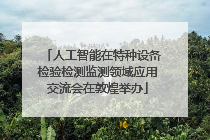 人工智能在特种设备检验检测监测领域应用交流会在敦煌举办