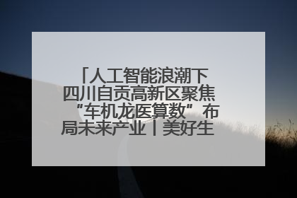 人工智能浪潮下 四川自贡高新区聚焦“车机龙医算数”布局未来产业丨美好生活有“盐”味
