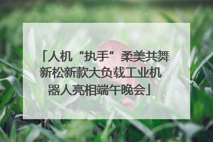 人机“执手”柔美共舞 新松新款大负载工业机器人亮相端午晚会