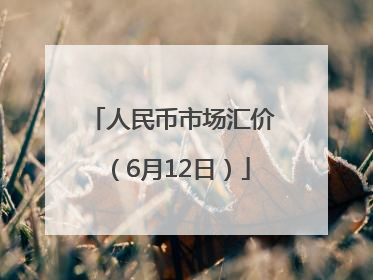 人民币市场汇价（6月12日）