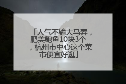 人气不输大马弄，肥美鲍鱼10块3个，杭州市中心这个菜市便宜好逛