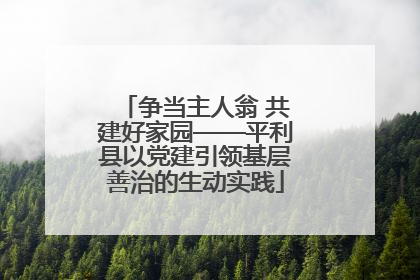 争当主人翁 共建好家园——平利县以党建引领基层善治的生动实践