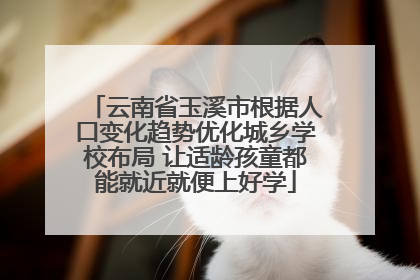 云南省玉溪市根据人口变化趋势优化城乡学校布局 让适龄孩童都能就近就便上好学