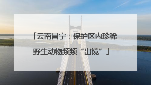 云南昌宁：保护区内珍稀野生动物频频“出镜”