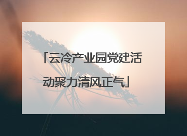 云冷产业园党建活动聚力清风正气