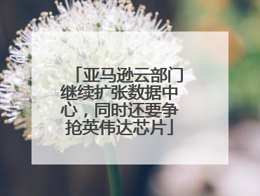 亚马逊云部门继续扩张数据中心，同时还要争抢英伟达芯片