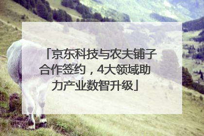 京东科技与农夫铺子合作签约，4大领域助力产业数智升级