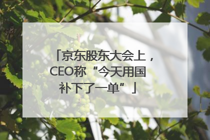 京东股东大会上，CEO称“今天用国补下了一单”