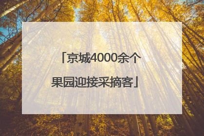 京城4000余个果园迎接采摘客