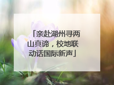 亲赴湖州寻两山真谛，校地联动话国际新声