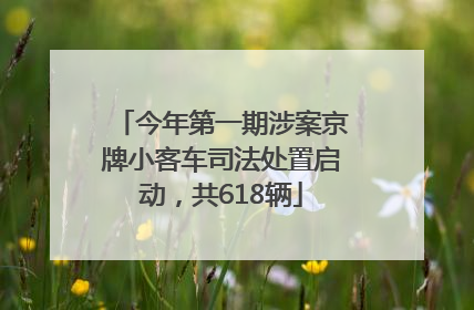 今年第一期涉案京牌小客车司法处置启动，共618辆