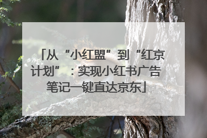 从“小红盟”到“红京计划”：实现小红书广告笔记一键直达京东