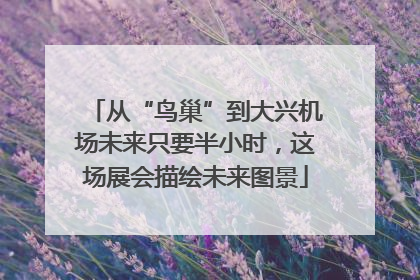 从“鸟巢”到大兴机场未来只要半小时，这场展会描绘未来图景