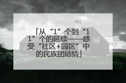 从“1”个到“11”个的延续——感受“社区+园区”中的民族团结情