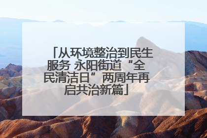 从环境整治到民生服务 永阳街道“全民清洁日”两周年再启共治新篇