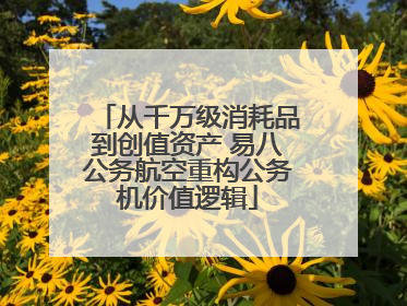 从千万级消耗品到创值资产 易八公务航空重构公务机价值逻辑