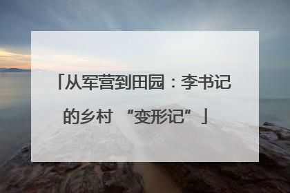从军营到田园：李书记的乡村 “变形记”