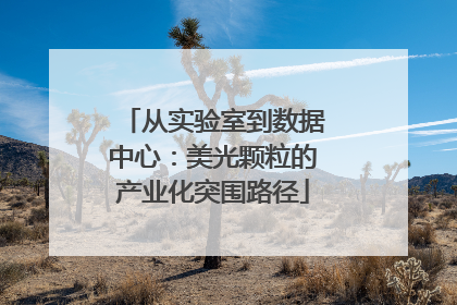 从实验室到数据中心：美光颗粒的产业化突围路径