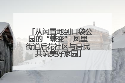 从闲置地到口袋公园的“蝶变” 凤里街道后花社区与居民共筑美好家园
