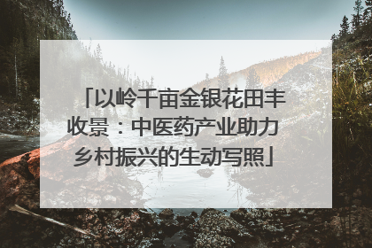 以岭千亩金银花田丰收景：中医药产业助力乡村振兴的生动写照